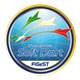 Figest SoftDart